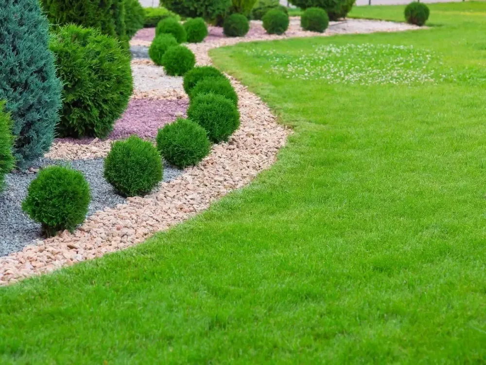 Engazonnement près de Agon-Coutainville