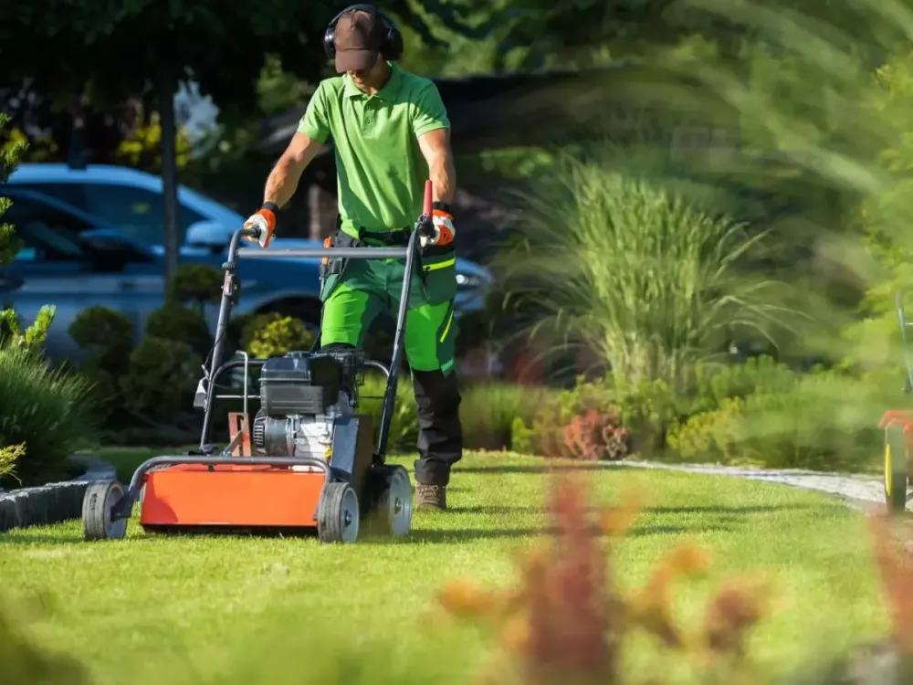 réalisaiton travaux paysagers